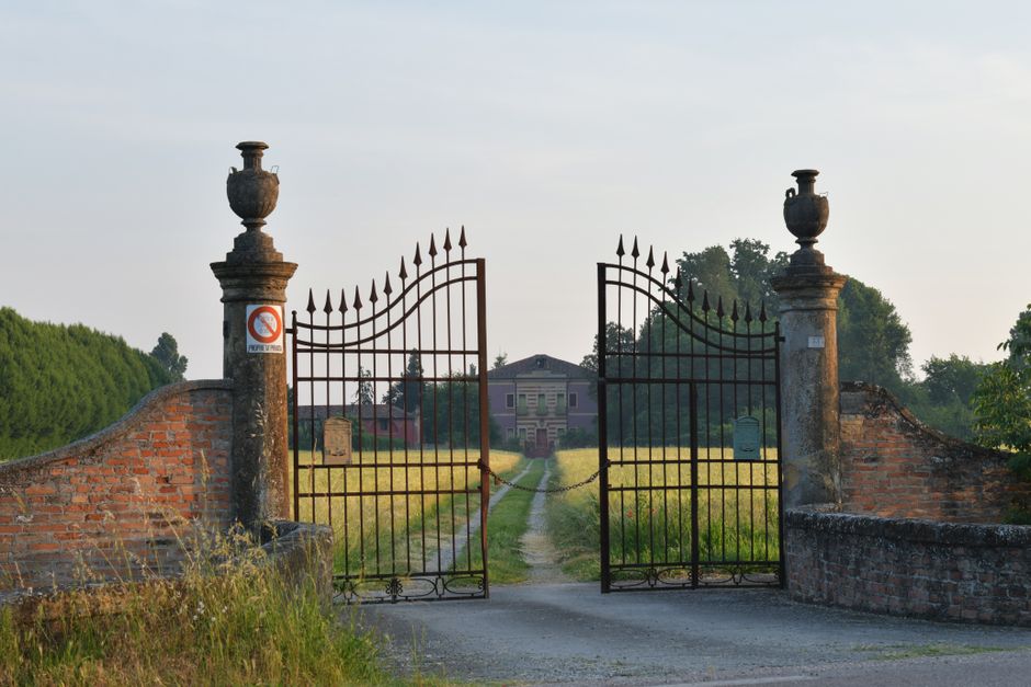 A metal gate and fence section photographed up close