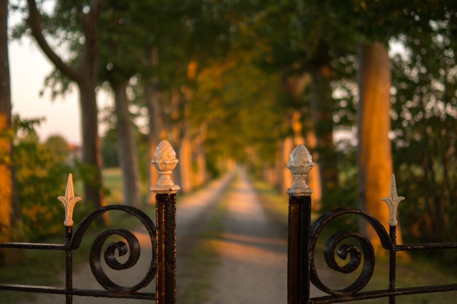 A decorative iron gate with vertical pickets